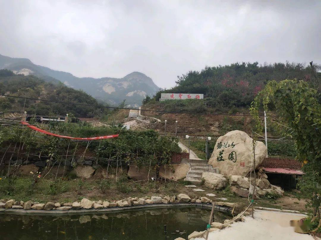 摇摆直升机比赛