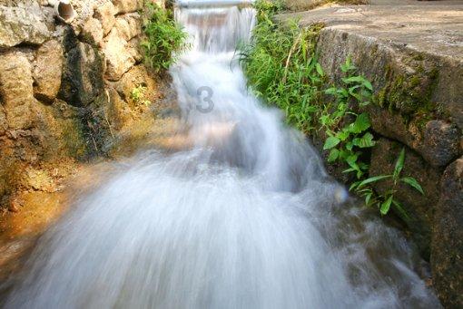 加拿大湖发现神秘“水怪”,游动时出现奇怪波浪,它究竟是什么?